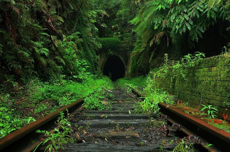 Abandoned Train Tracks — Green, Overgrown, Photograph