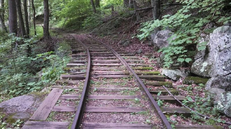 Abandoned Train Tracks — Green, Overgrown