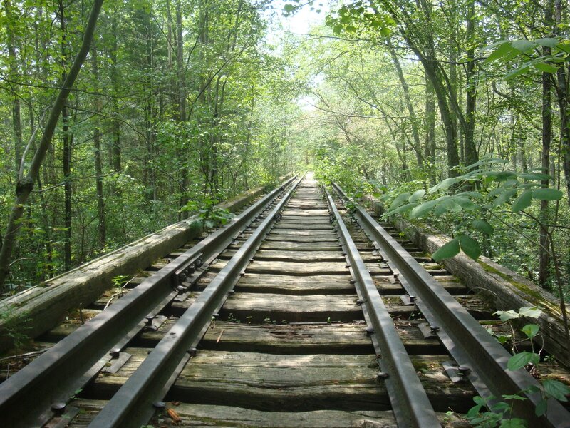 Abandoned Train Tracks — Green, Serene, Afternoon, Photograph, Forest, Wooden Ties
