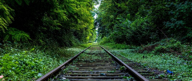 Abandoned Train Tracks — Green, Serene, Afternoon, Photograph, Railroad