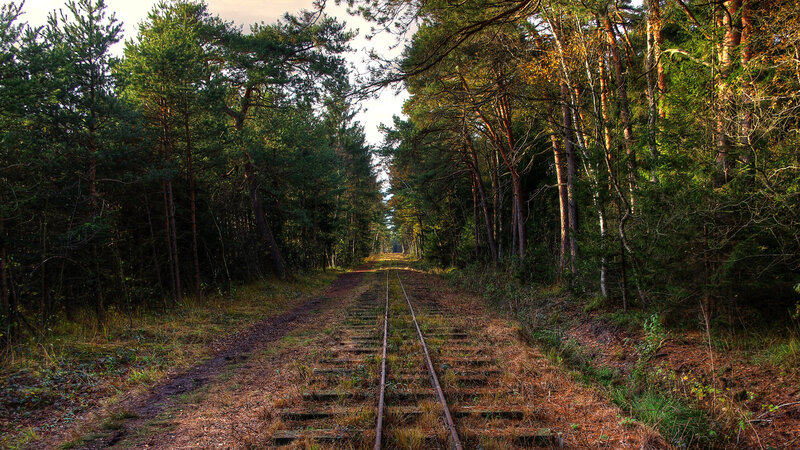 Abandoned Train Tracks — Green, Serene, Afternoon, Photograph