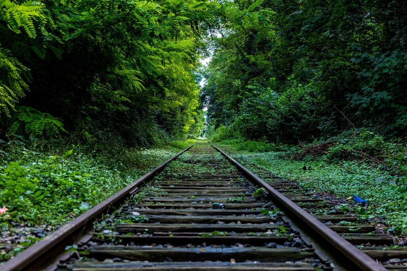Abandoned Train Tracks — Green, Serene, Afternoon, Photograph, Trees