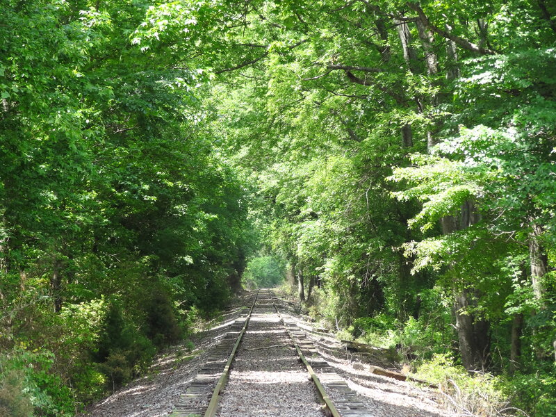 Abandoned Train Tracks — Green, Serene, Afternoon