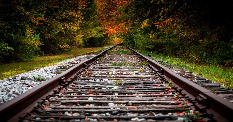 Abandoned Train Tracks — Green, Serene, Autumn
