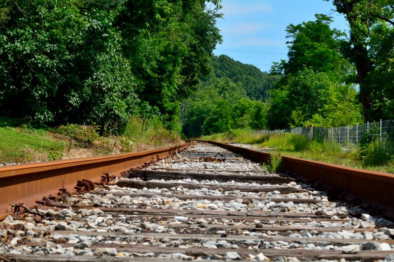 Abandoned Train Tracks — Green, Serene, Summer