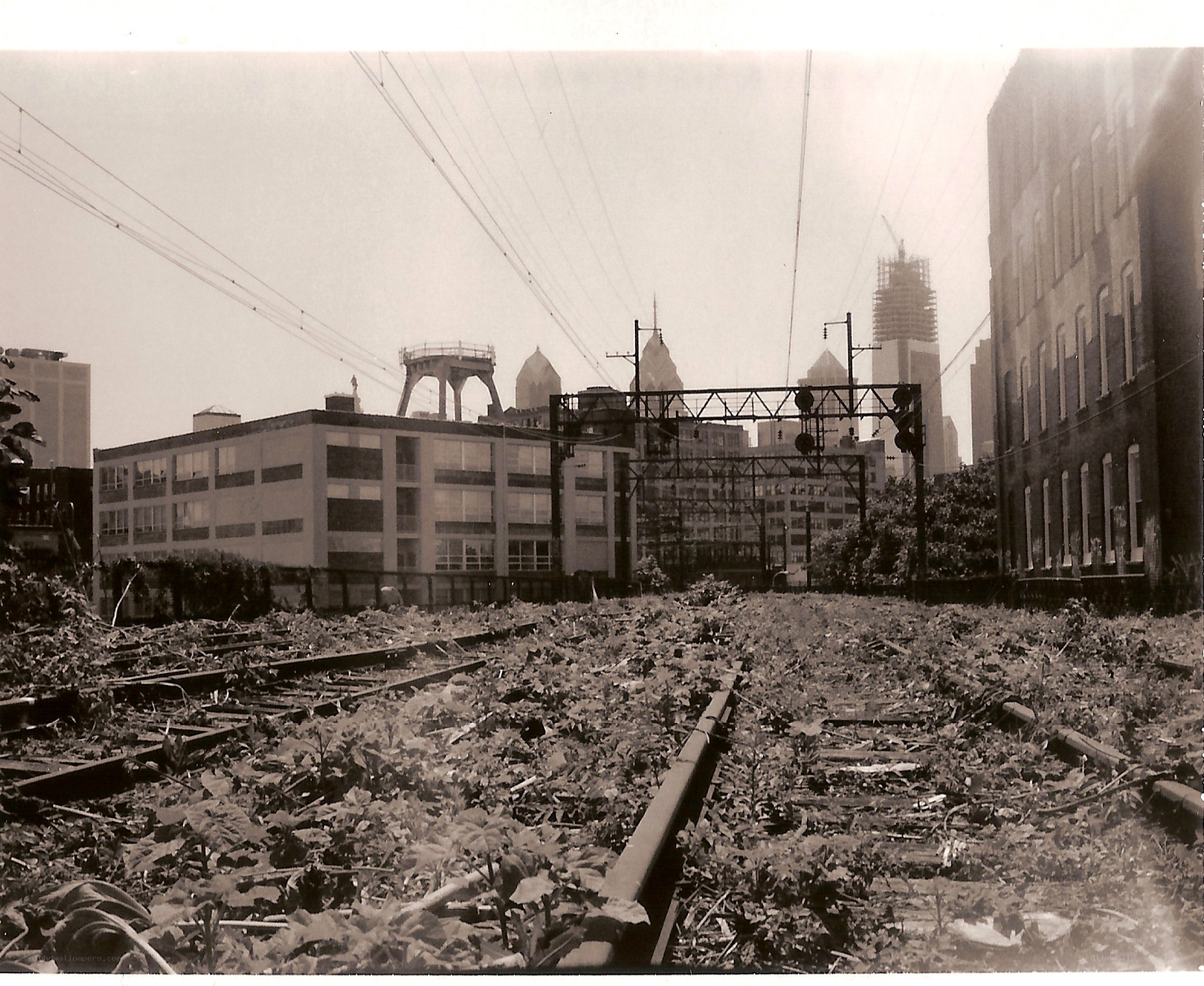 Abandoned train tracks in city