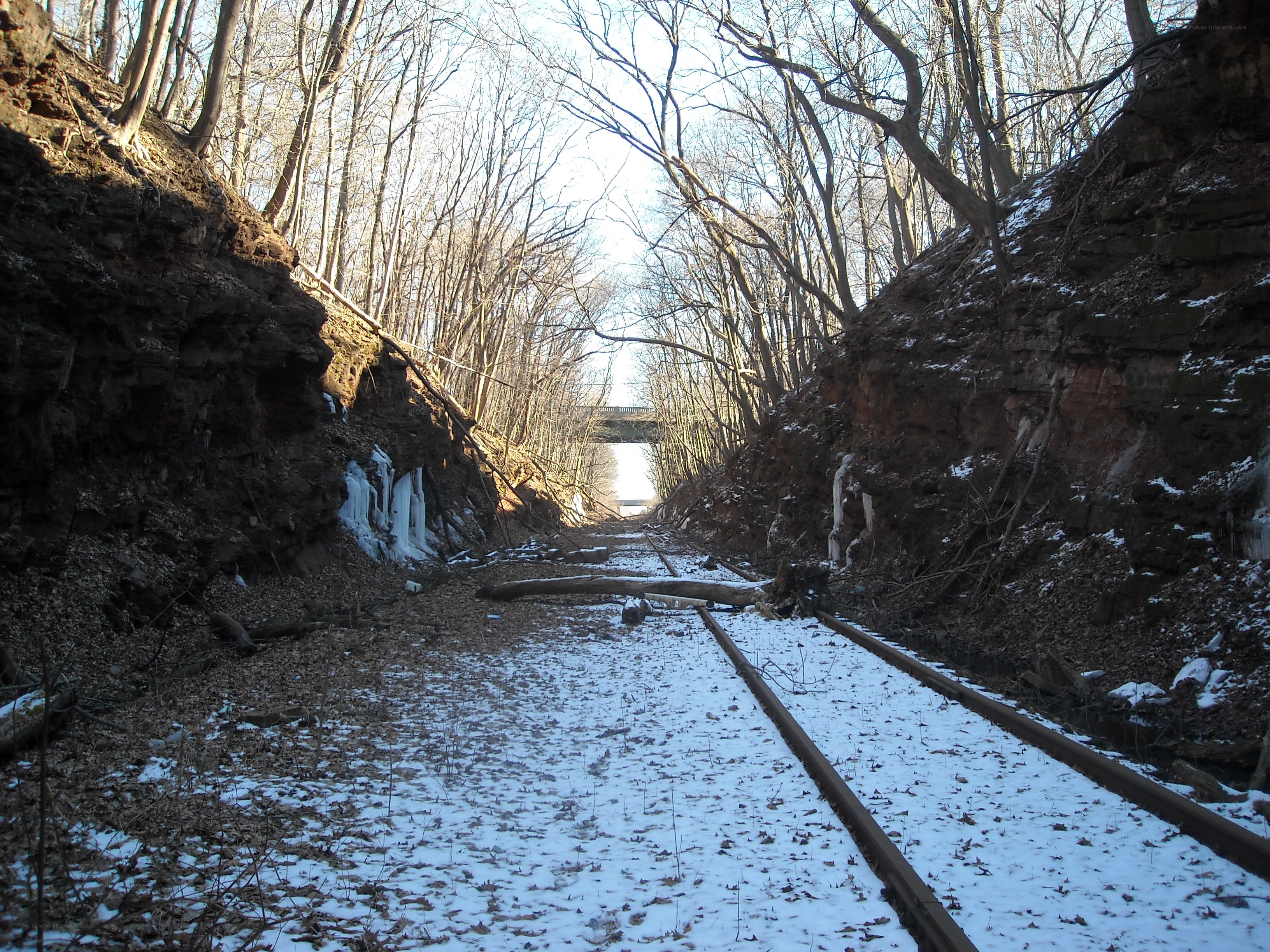 Abandoned train tracks in winter