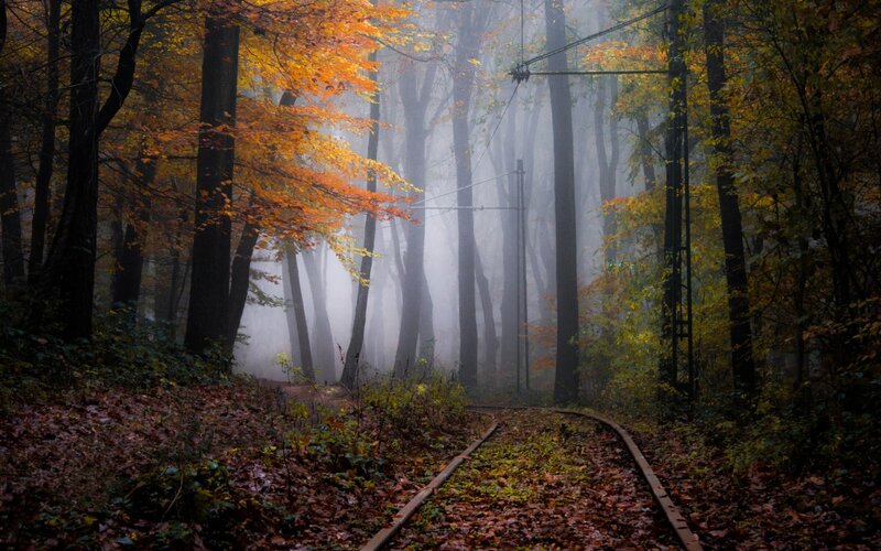 Abandoned Train Tracks — Orange