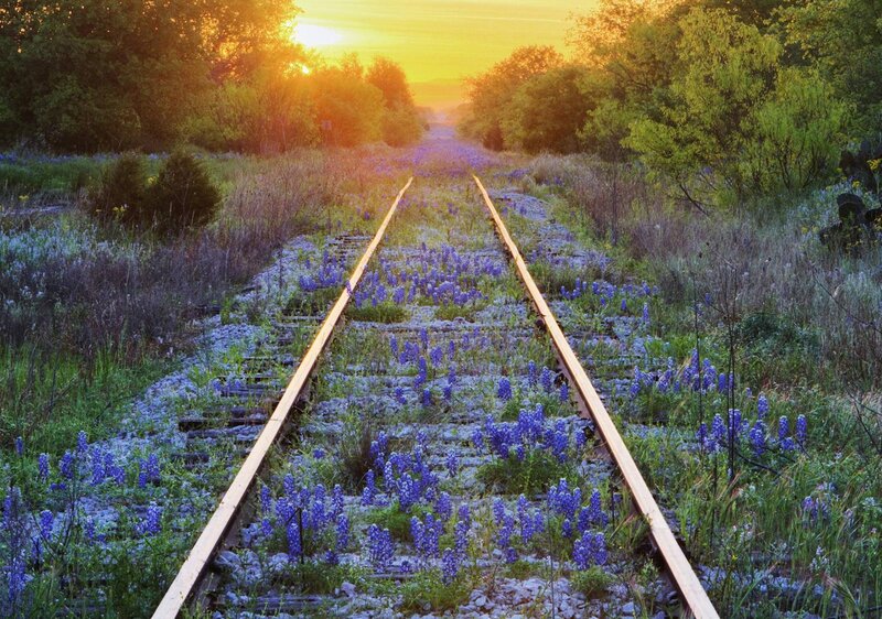 Abandoned Train Tracks — Purple, Serene