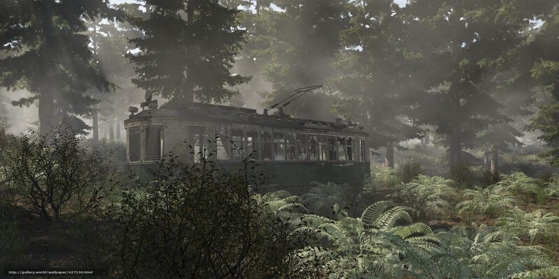 Abandoned trolley in misty forest