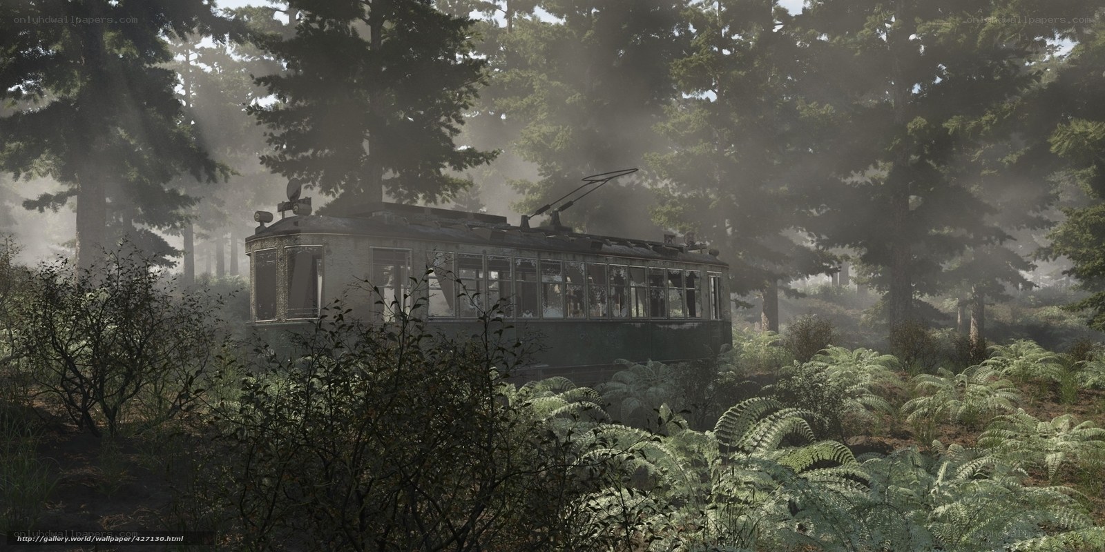 Abandoned trolley in misty forest