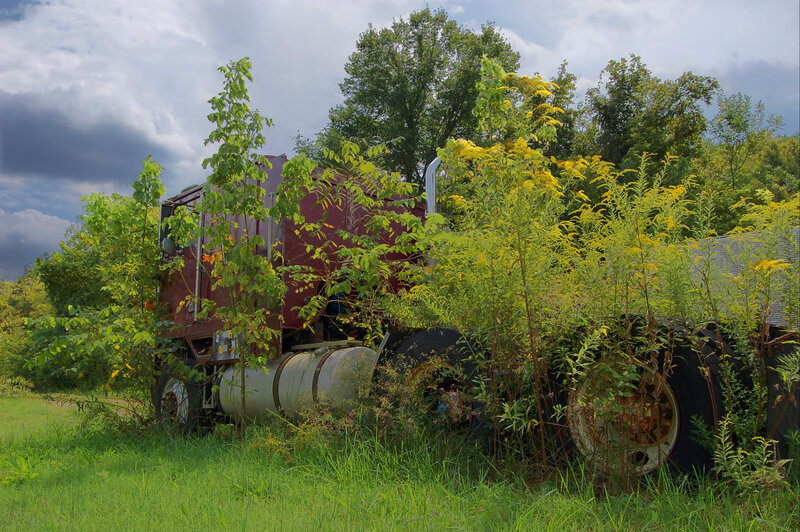 Abandoned Truck in Field — Green, Overgrown