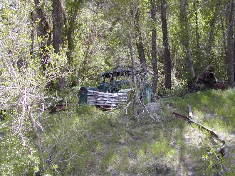 Abandoned truck in forest