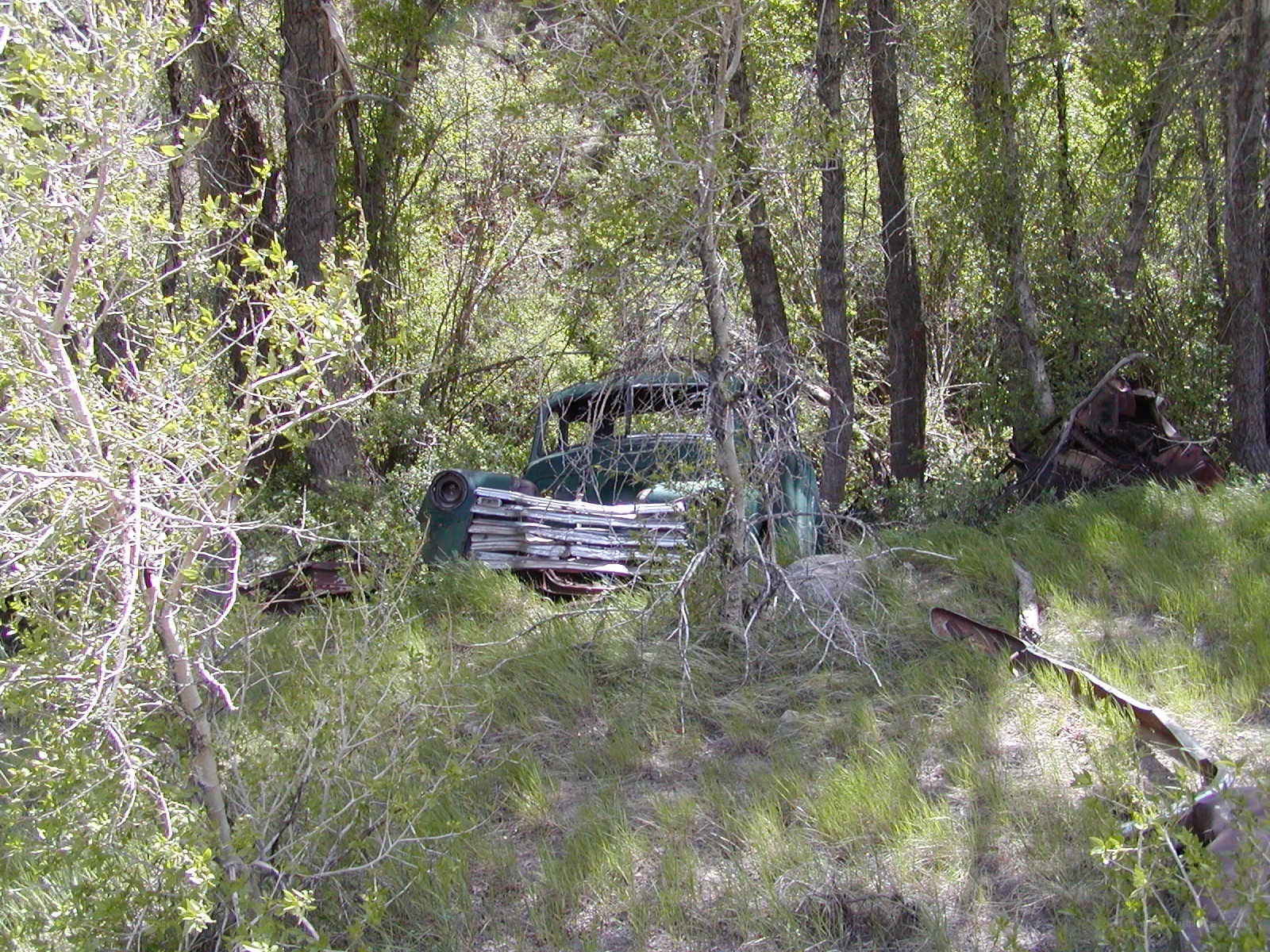 Abandoned truck in forest