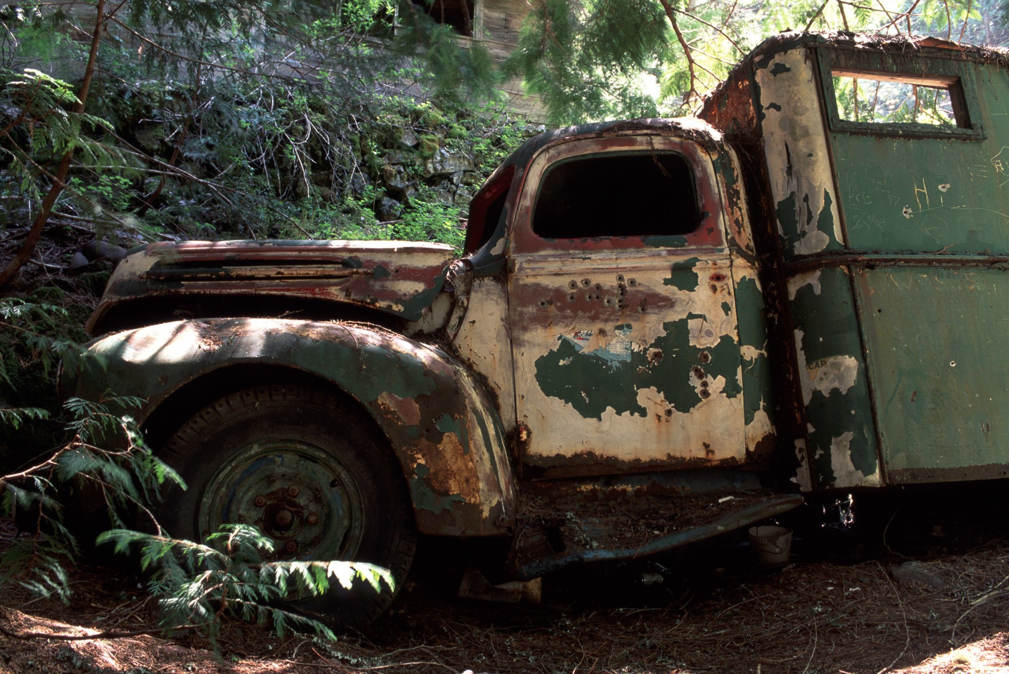 Abandoned truck in forest