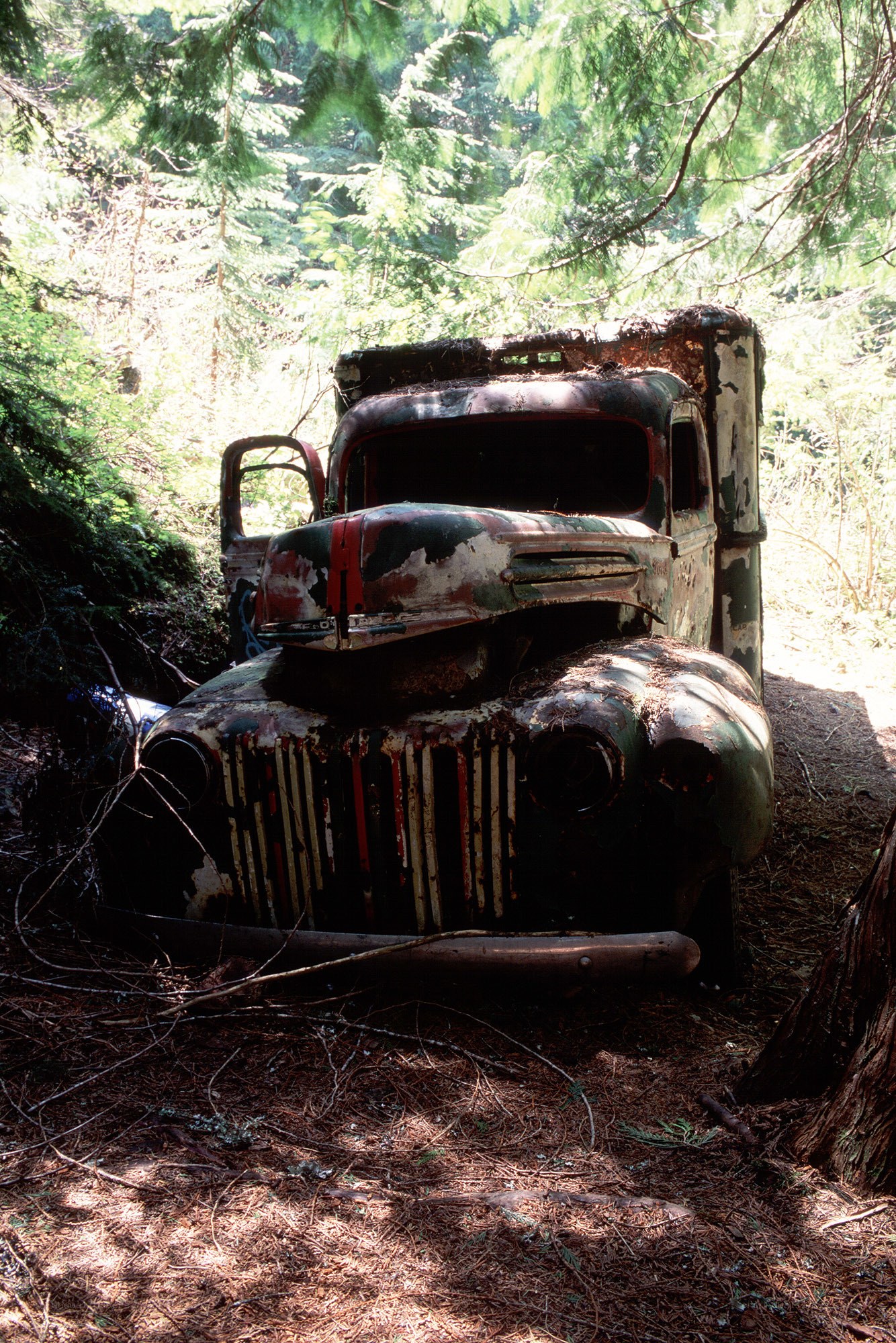 Abandoned truck in forest