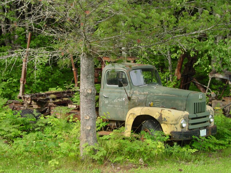 Abandoned truck in forest