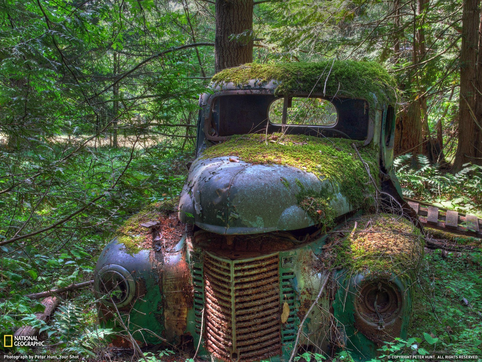 Abandoned truck in forest