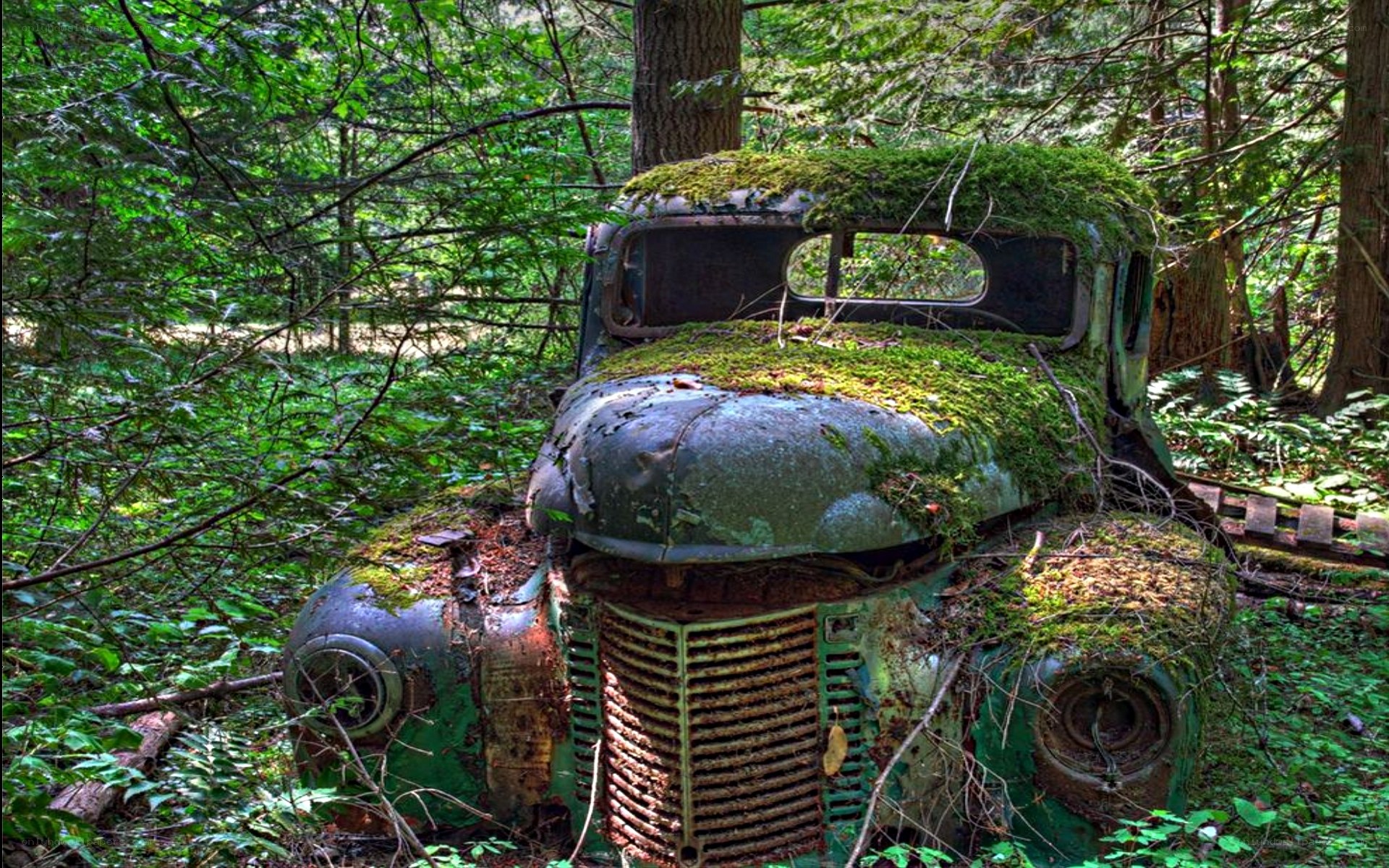 abandoned truck in forest