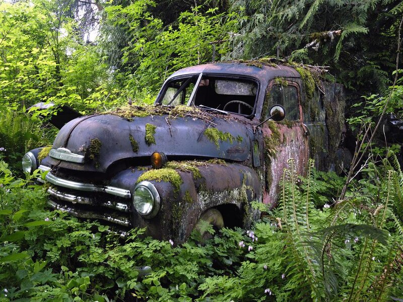 Abandoned Truck in Forest — Green, Overgrown