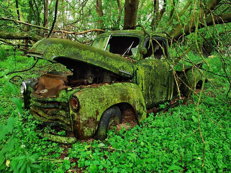Abandoned Truck in Forest — Green