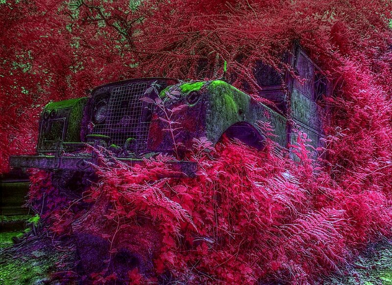 Abandoned Truck in Forest — Red