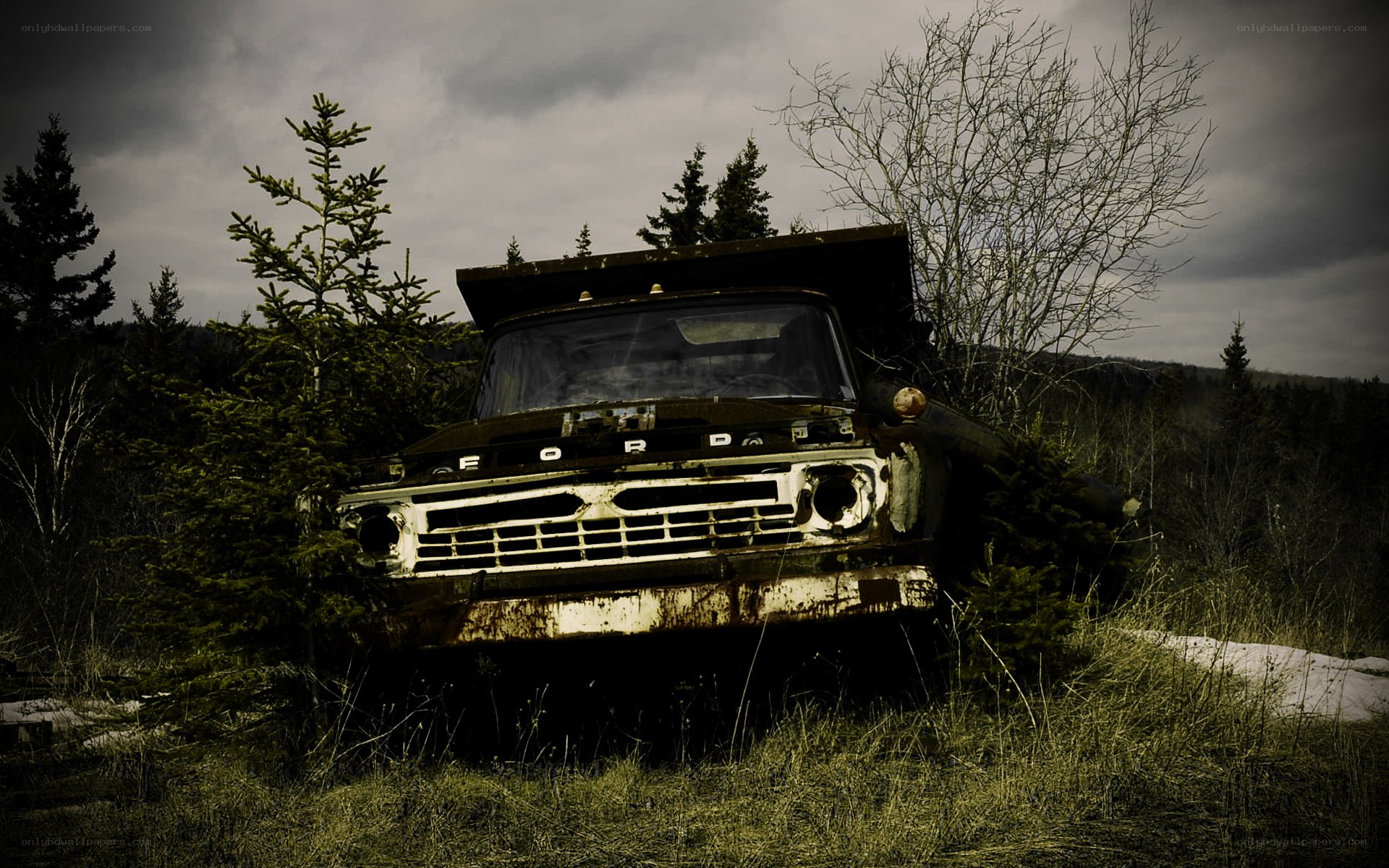 Abandoned truck in forest