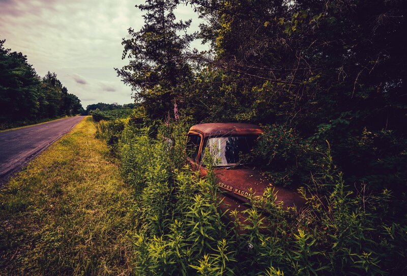 Abandoned Truck in Weeds