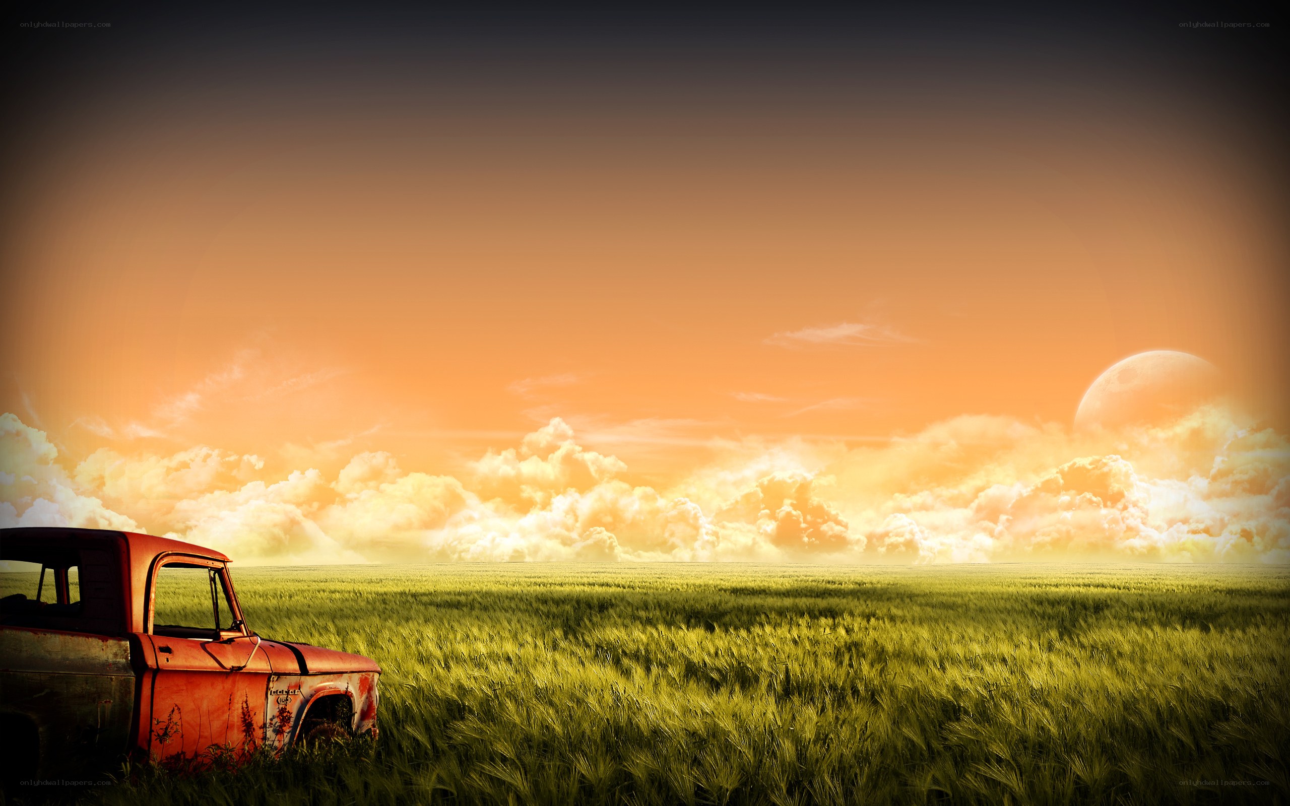 Abandoned truck in wheat field