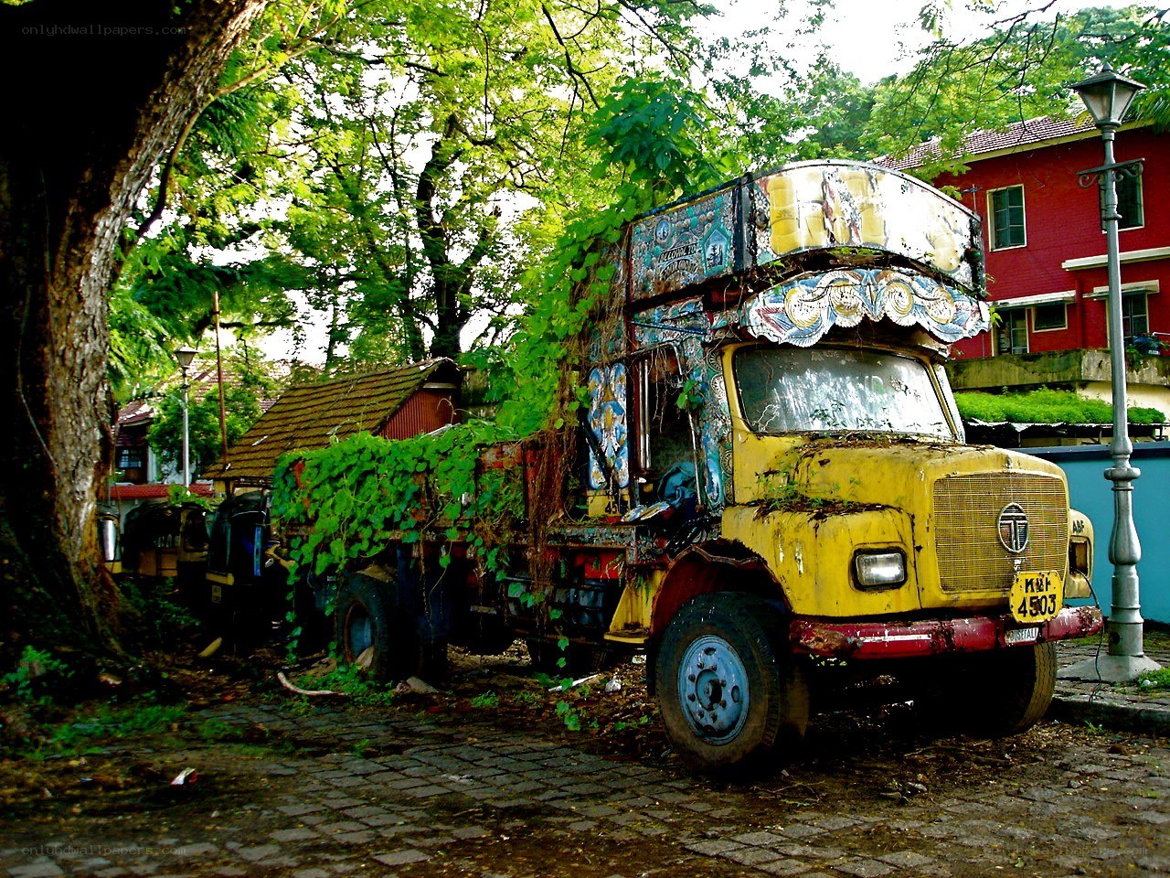 Abandoned truck overgrown with vines