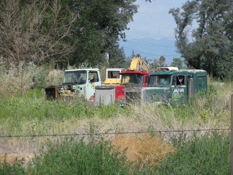 Abandoned Trucks in Field