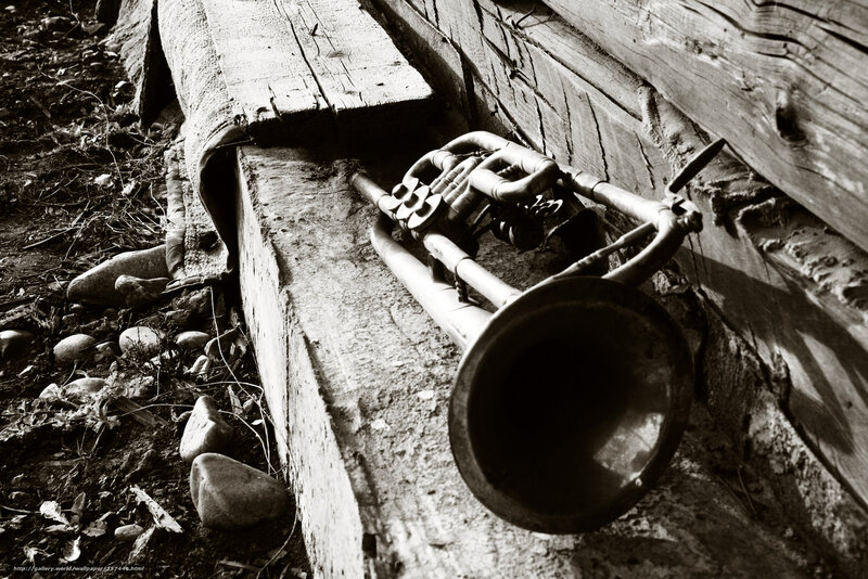 Abandoned trumpet in rustic setting