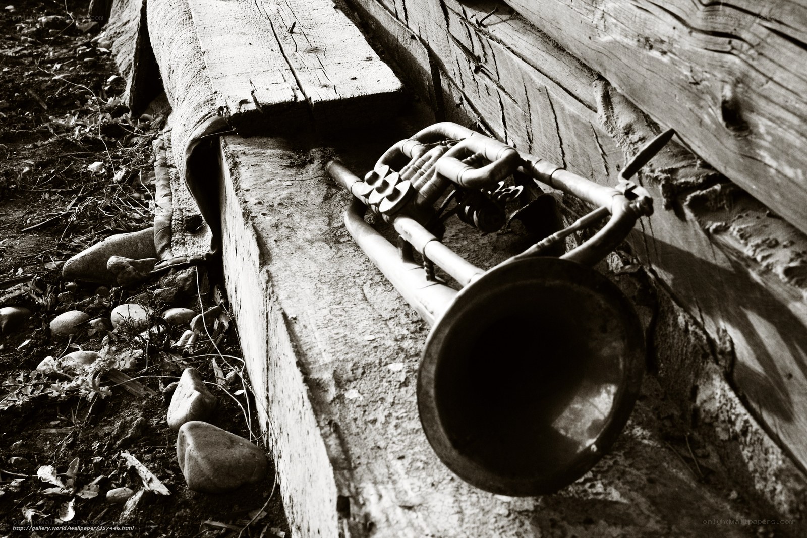 Abandoned trumpet in rustic setting