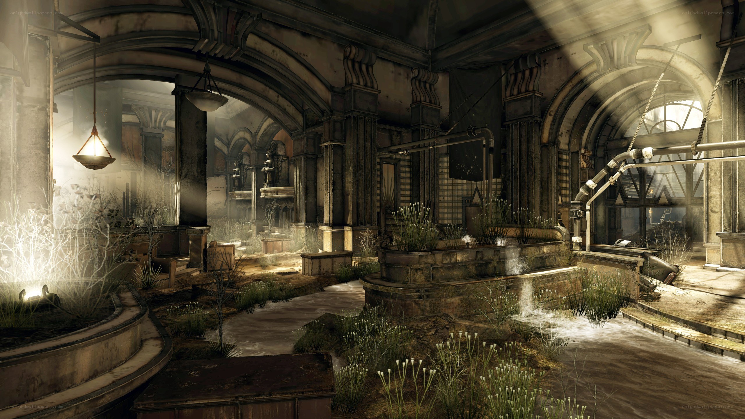 abandoned underground conservatory