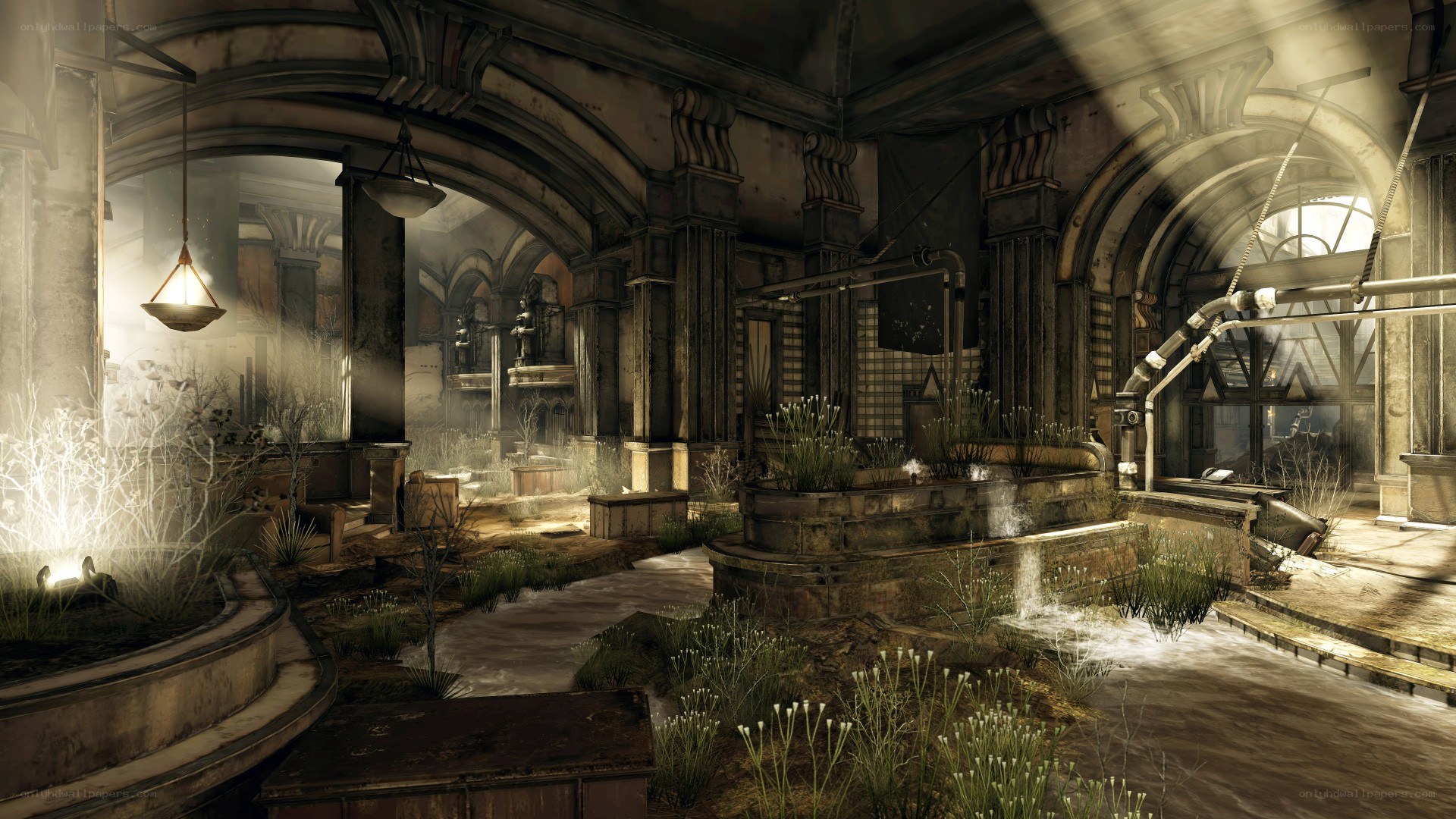abandoned underground conservatory