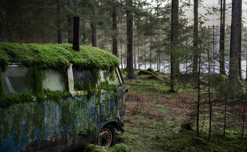 Abandoned Van in Forest — Green