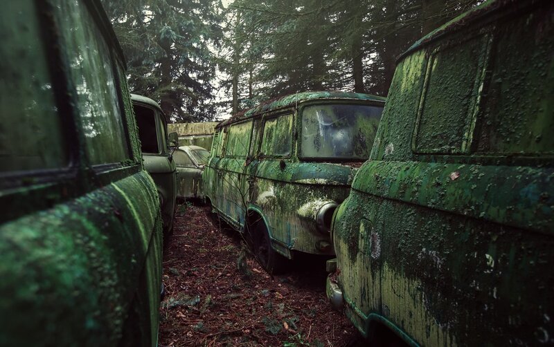 Abandoned Vans in Forest