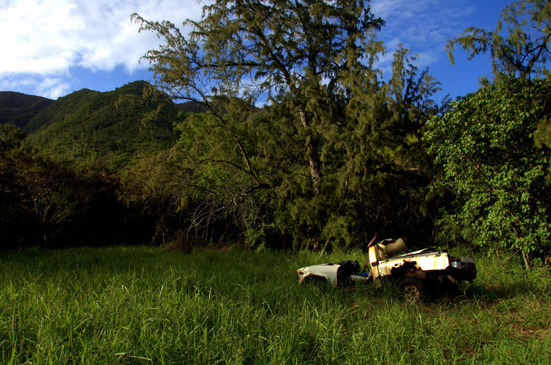 Abandoned Vehicle in Field