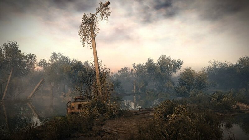 abandoned vehicle in flooded forest