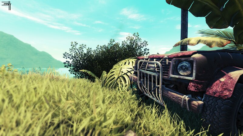 Abandoned Vehicle in Grass