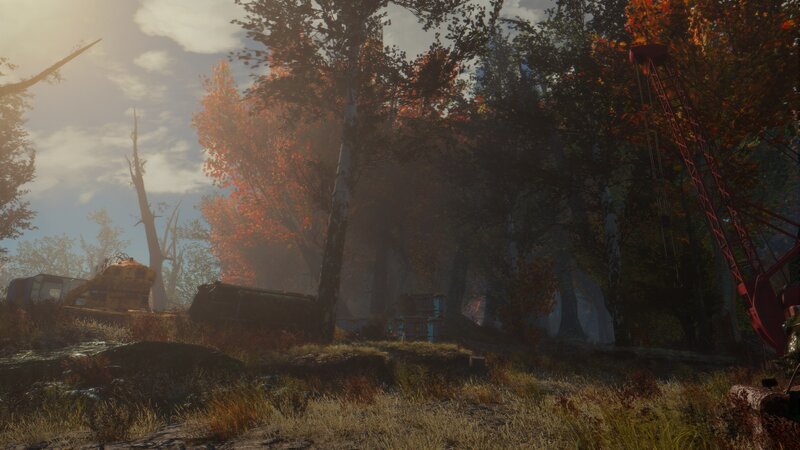 Abandoned Vehicles in Forest