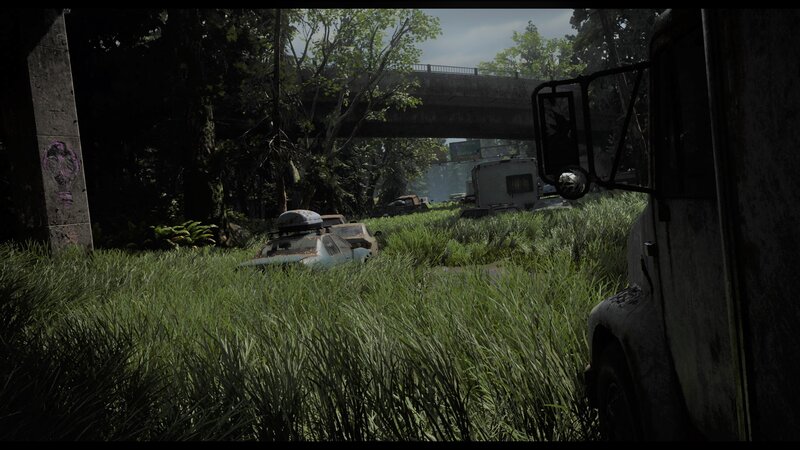Abandoned Vehicles in Grass