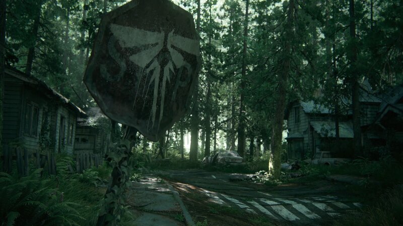 Abandoned Village in Forest