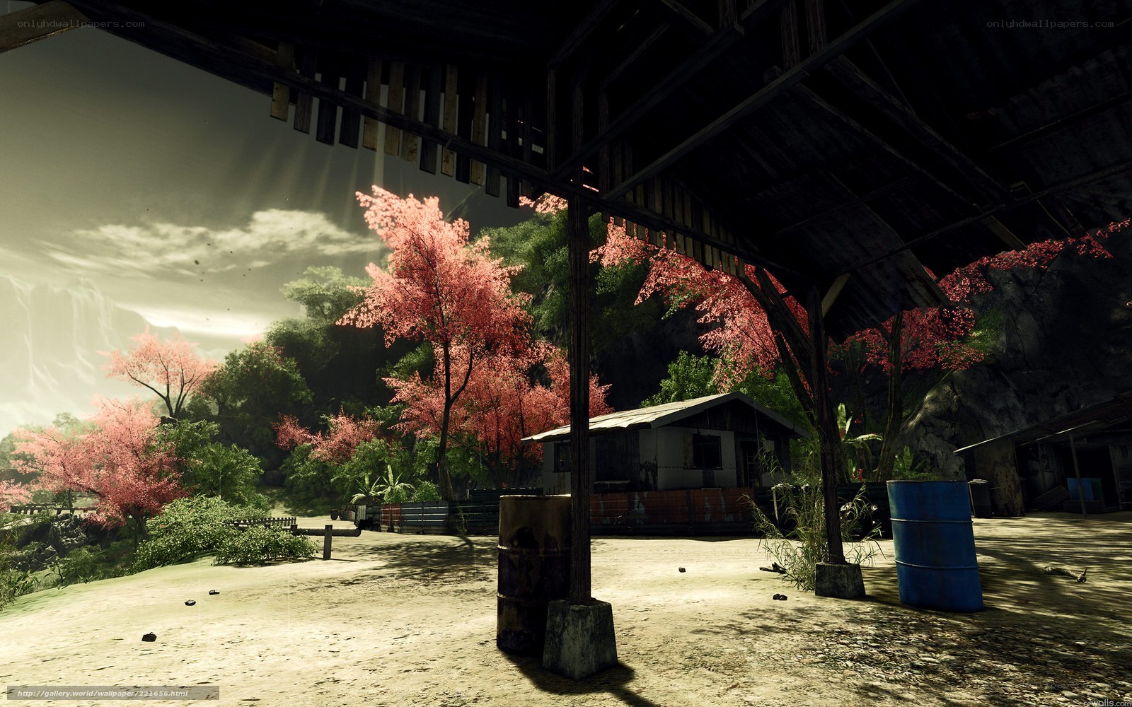 Abandoned village with cherry blossoms