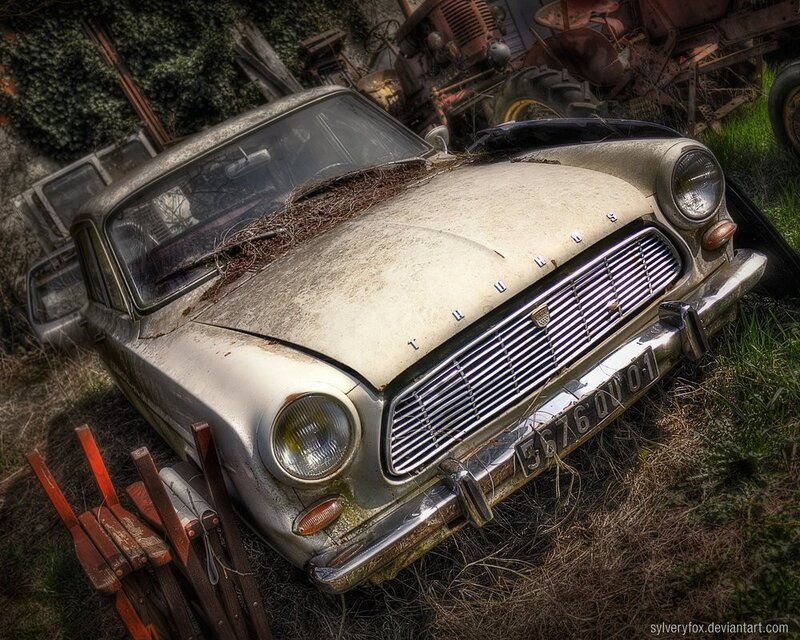 abandoned vintage car in overgrowth