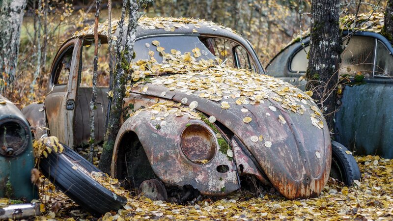 Abandoned Volkswagen Beetle