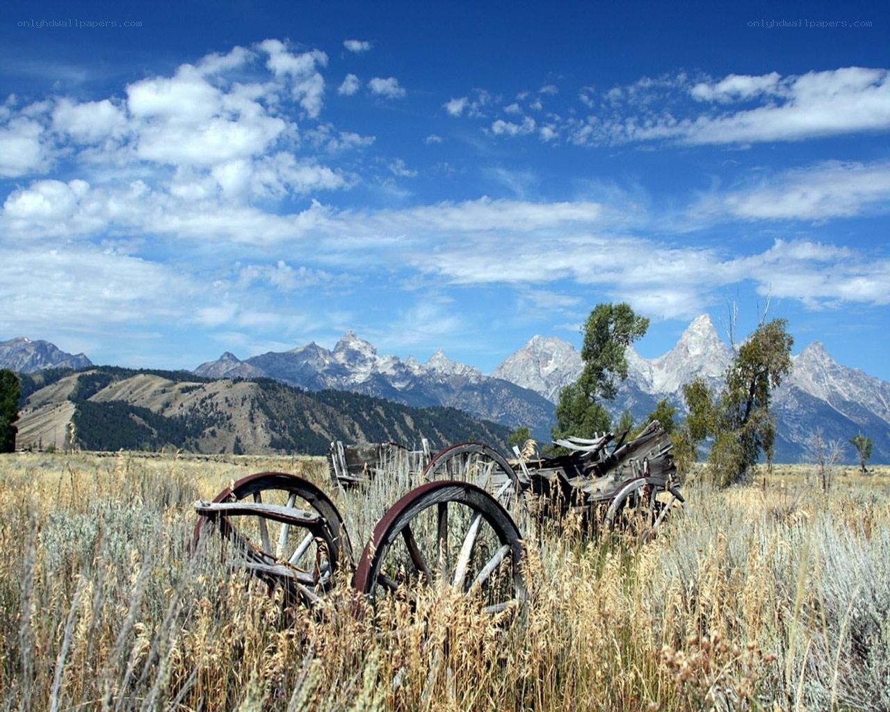Abandoned wagon in a mountain field