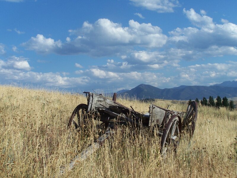 Abandoned Wagon in Field