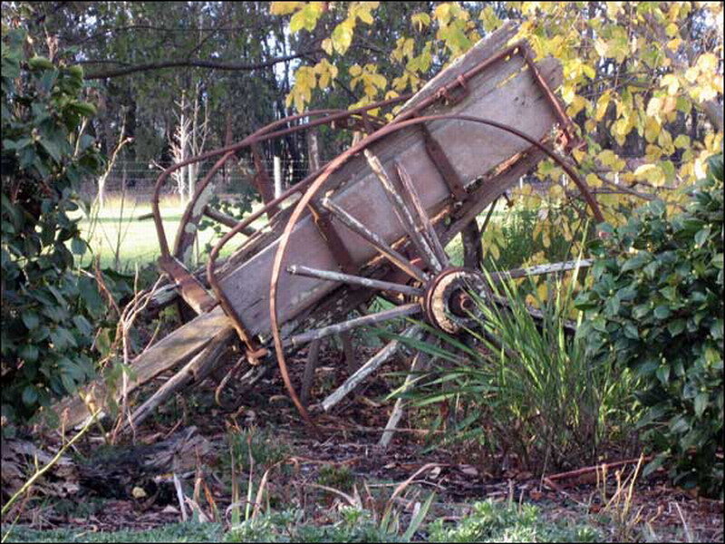 Abandoned Wagon in Garden