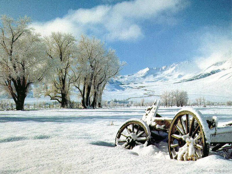 Abandoned Wagon in Snow — White, Serene